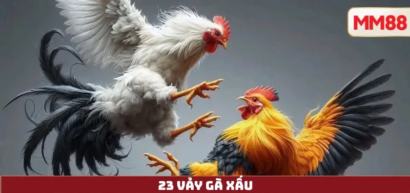23 Vảy Gà Xấu