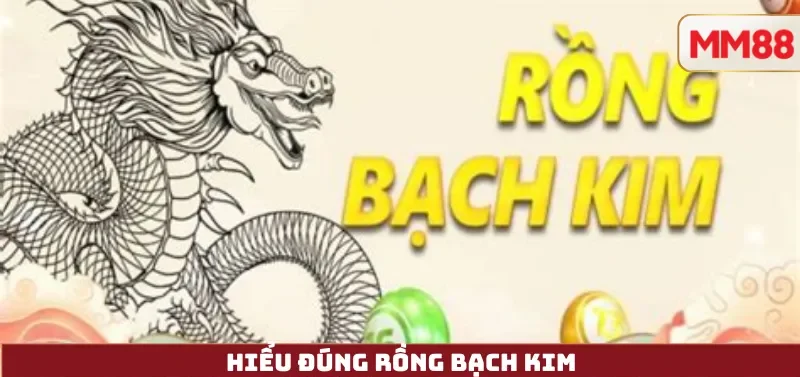 Hiểu đúng về Cầu Rồng Bạch Kim